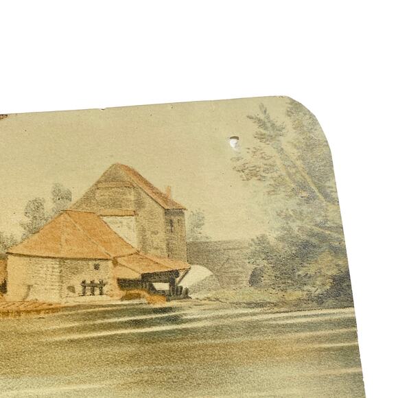 Charles Delort Vintage Decoy Ducks Lithograph Art Print - Picture 7 of 8